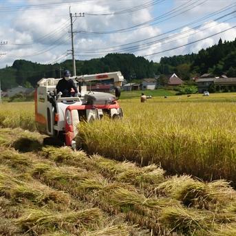 あっさり派に】食べ飽きない軽やかな味わい｜あきさかり精米10kg ｜ 米