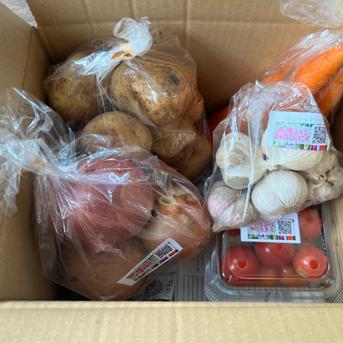 野菜カレーセット1.8kg☆有機JAS認証☆ 野菜カレーセット 野菜/野菜セット・詰め合わせ通販