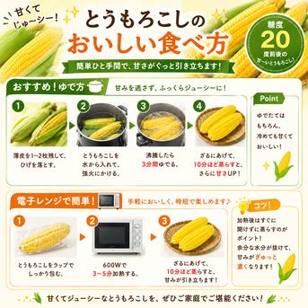 3kg糖度20度前後！朝採れとうもろこし「おおもの」 ｜ 野菜