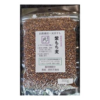 無肥料・自然栽培の紫もち麦(玄麦)300g【チャック袋】 300g 米・穀物/雑穀 通販