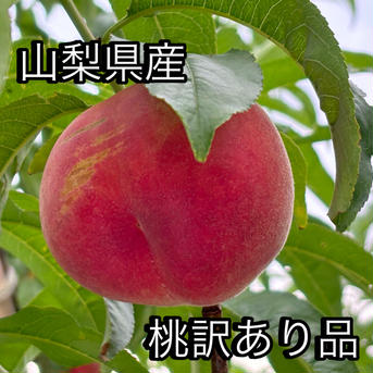 桃『訳あり品』『ご家庭用』品種おまかせ‼️2kg 2kg 果物/もも通販