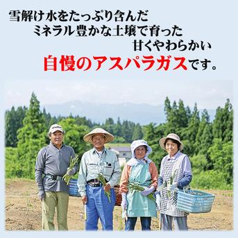 朝採りアスパラガス　Mサイズ　１ｋｇ（約50本）　新潟県産　 1kg 野菜/アスパラガス通販