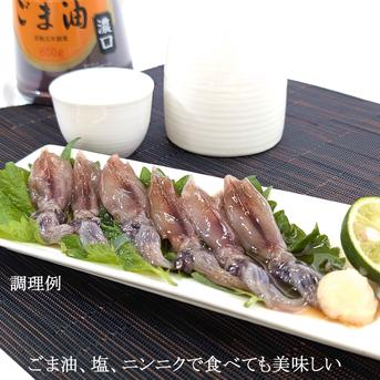 刺身用 生ほたるいか 生食可（冷凍・真空パック）約150g×30パック