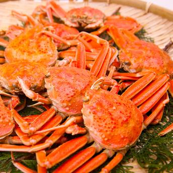 浜茹でオオズワイガニ 2kg 詰め込みセット 2ｋｇ（約6-13尾入） 魚介類/カニ通販