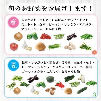 【関西・北陸・東海・信越へ配送の方】100サイズが圧倒的にお買得！箱いっぱい房総旬野菜詰め合わせ（100サイズ箱） 100サイズ箱いっぱい 野菜/野菜セット・詰め合わせ通販