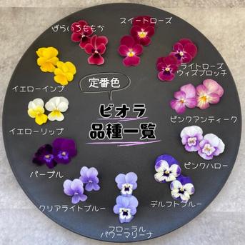 常温配送》エディブルフラワー（食用花） ビオラ20輪 ｜ その他/食用花