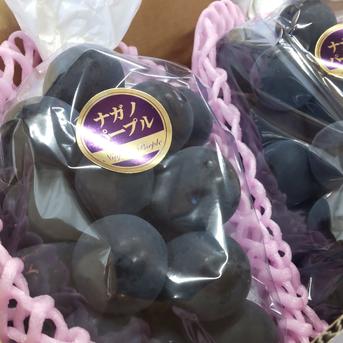 やまたか農園の「ナガノパープル」 約1.6㎏前後 3～5房入り 果物/ぶどう通販