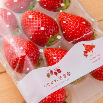 じっくり育てた果汁の香り良い『恋みのり』1箱2トレー入 250g入トレー　×    2トレー 果物/いちご通販