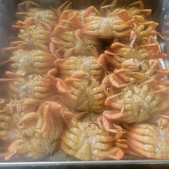 【御中元!! お盆に!!  冷凍浜蒸し毛蟹】  1杯(300ｇ前後) 1杯(300ｇ前後) 魚介類/カニ通販