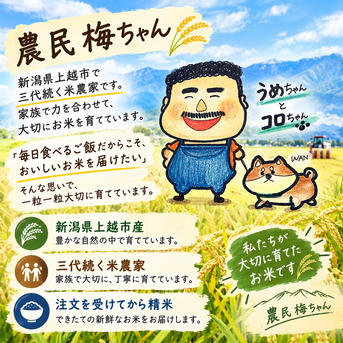 令和8年産 新米コシヒカリ ｜ 米・穀物/米/精米 産直アウル 農家