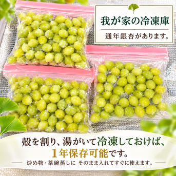 新鮮な銀杏 2026年＊新物》祖父江産 銀杏 藤九郎 満足2Lサイズ ｜ 野菜/その他