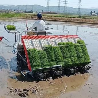 特別栽培米新潟県産コシヒカリ15k ｜ 米・穀物/米/精米 産直アウル