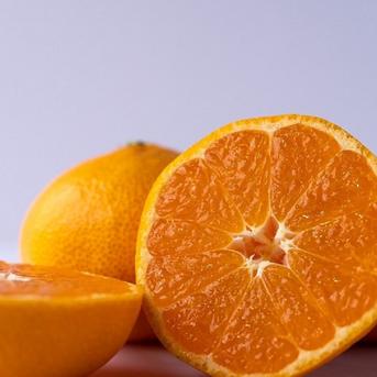 【旬間近】天晴みかん　10ｋｇ　ご贈答用 10.0kg(90～100個） 果物/温州みかん通販