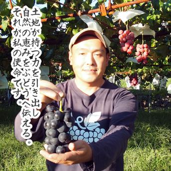 完熟巨峰100％搾り3本 化粧箱入 ※長野県認証/特別栽培同基準（信州の