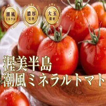 トマト好きが思わず唸る】ギリギリまで完熟させた濃厚大玉の潮風