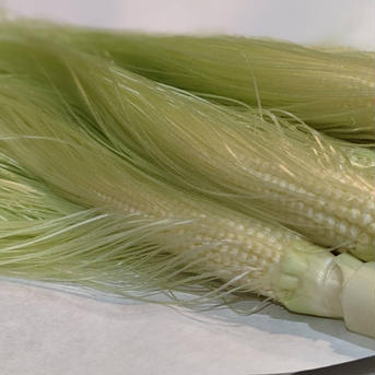 50本【甘いしずく】のもぎたて生ヤングコーン 葉付き50本 野菜/その他野菜通販
