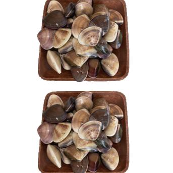 千葉県九十九里産　活はまぐり 2kg (40~60個程度） 魚介類/蛤通販