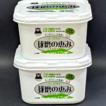球磨の恵みヨーグルト（砂糖不使用）2Kg | 乳製品/その他乳製品 産直