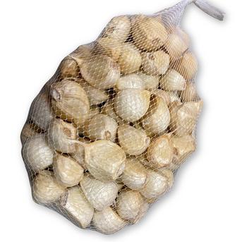 送料込み価格！ 大粒バラ5kg『あきたしらかみにんにく』令和7年産 秋田