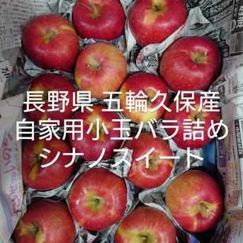 長野県 五輪久保産 シナノスイート 自家用小玉バラ詰め 2.7kg 果物/りんご通販