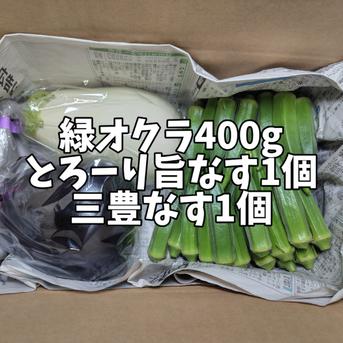香川の伝統野菜『三豊なす』入り！とろける茄子＆オクラのセット 緑角オクラ400g とろーり旨なす1個　三豊なす1個 野菜/野菜セット・詰め合わせ通販