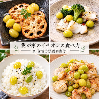 2026年＊新物》祖父江産 銀杏 【久寿】大玉3Lお試し350g ｜ 野菜