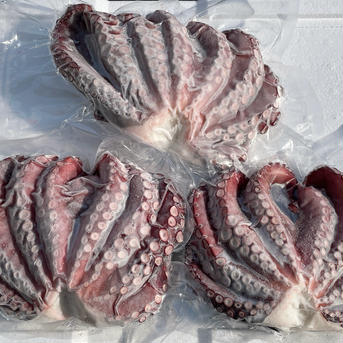 【岩手県田野畑産】　蒸し真タコ　約1kg 真ダコ：約1kg 魚介類/タコ通販