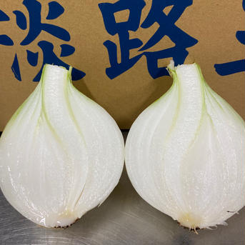 【飲食店様限定！応援企画！】訳あり淡路島新たまねぎ（10kg）✖️2箱セット 10kg✖️2箱セット 野菜/玉ねぎ通販