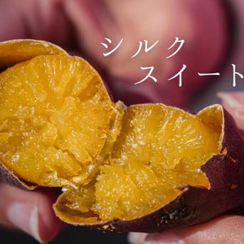 送料込み!! 追熟シルクスイート さつまいも 栽培期間中農薬不使用 宮崎県産約2㎏ SS〜Mサイズ 約2㎏ SS〜Mサイズ 野菜/さつまいも通販