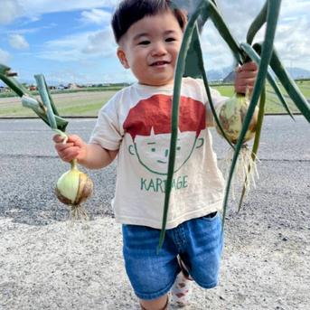 【淡路島直送】焼いて甘い！大玉たまねぎ5kg｜玉ねぎステーキ・煮込みに最適◎ 大玉5㌔ 野菜/玉ねぎ通販