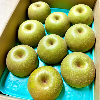 check様専用栃木産 幸水梨 ありがとうございます 新鮮な栃木県産梨