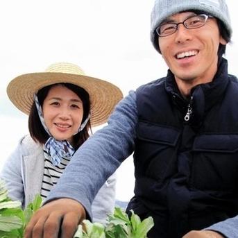 自然栽培】固定種 大玉冬瓜1玉 5kg以上☆農薬・肥料不使用 | 野菜