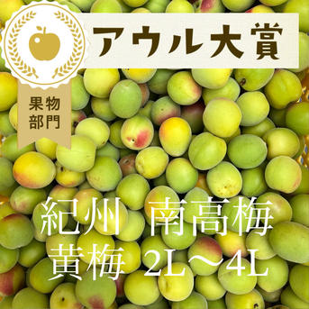 6kg】黄梅 南高梅 ｜ 果物/青梅 産直アウル 農家・漁師など生産者から 