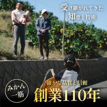 水を一滴も使わない】愛媛みかん100％ストレートジュース（1000ml×6本