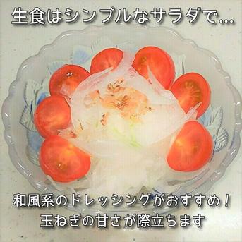 淡路島新玉ねぎ　２０ｋｇ（早生・七宝） 20kg入り 野菜/玉ねぎ通販