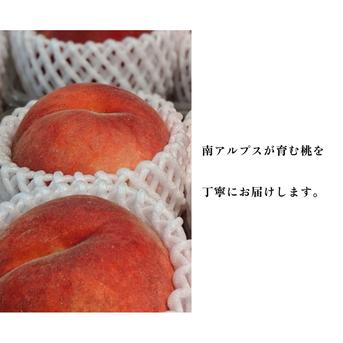 アルプス美人｜南アルプス生まれの気品あふれる希少桃 約4kg 約10~15玉
