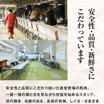 【訳あり商品】熊本直送 馬刺し人気の 5種盛りセット 450g 450g(特選霜降り50g、特選赤身100g、コーネ100g、フタエゴ100g、ユッケ100g 肉/馬肉通販