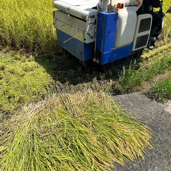 🌟残り僅か🌟令和7年新米❣高知産コシヒカリ🌾玄米30kg