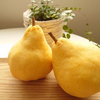 たかはし果樹園謹製「ル・レクチェ」青秀品 大玉 約4kg 青秀品 大玉 約4kg(7〜9個入り) 果物/梨通販