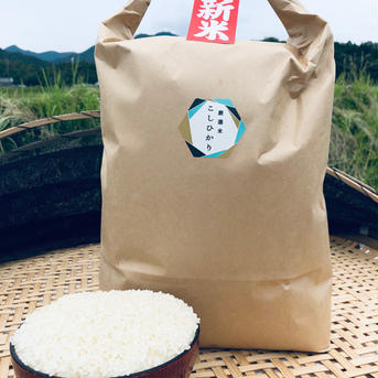 新米 瀬戸内讃岐 令和6年産コシヒカリ100%クリーン精米5キロ 紙袋入り クリーン精米5kg 米・穀物/米/精米通販