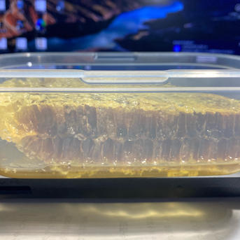 日本ミツバチの巣蜜 230g ｜ はちみつ/はちみつ 産直アウル 農家