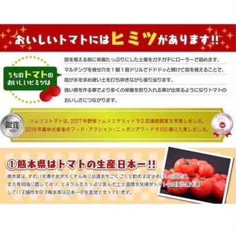 【初売】送料込み①食べ出したら止まらない！ソムリエミニトマト　ダイヤ1kg（60玉から90玉） 1kg 野菜/トマト通販