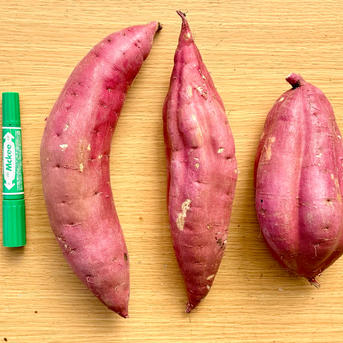 訳あり】どすこいサイズ「紅はるか」5キロ箱 | 野菜/さつまいも 産直