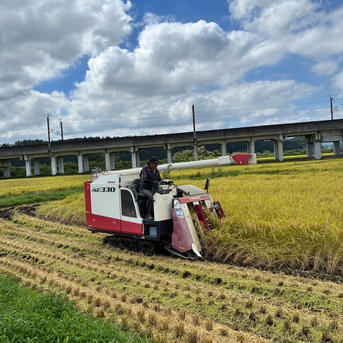 令和8年産 新米】栃木県大田原市産 コシヒカリ 玄米5kg｜桜林農園