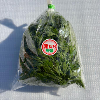 6周年限定】はぴぱらの人参の葉【無農薬・無肥料栽培】 | 野菜/葉物