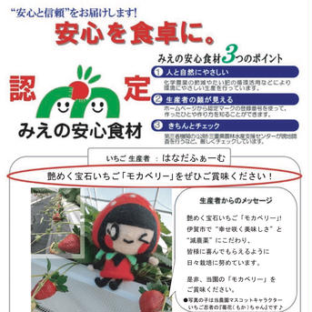 感謝価格【減農薬】一箱 家庭用 ”小粒・小粒B品”いろいろなサイズ 『モカベリー』 完熟いちご 苺 果物 【クール便】一箱 約850g 果物/いちご通販