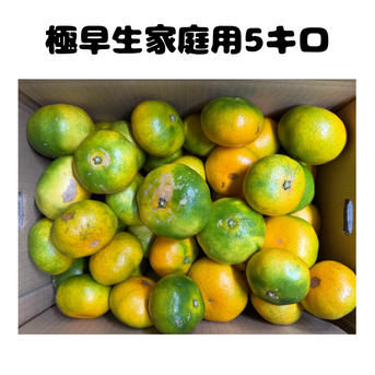 極早生みかん【家庭用5キロ×2箱】 | 果物/温州みかん 産直アウル