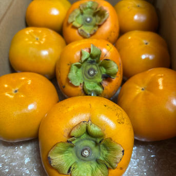 上品な甘さサクサク 新品種『紀州てまり』ご家庭用中玉混合約2kg