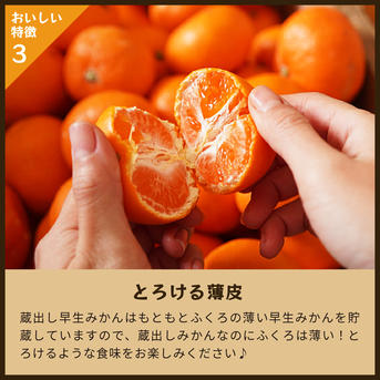 【専用】早生みかん　蔵出しみかん　20キロ 蔵出しみかん早生5kg｜和歌山県海南市下津町の特産品、蔵出しみかんの