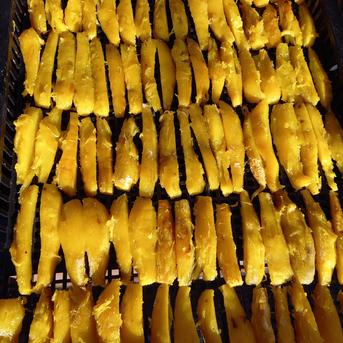 干し芋。焼き芋の干し芋150g入りx5個セット。 真空包装150g入りx5個 野菜/さつまいも通販